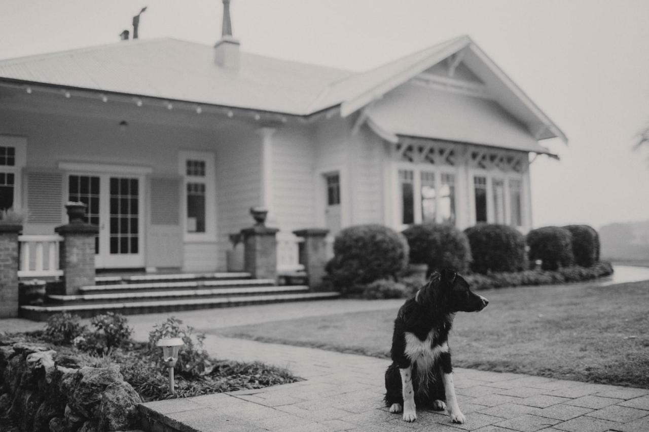 Wallingford Homestead Eksteriør bilde